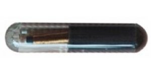 Transponder chip T5 üveg